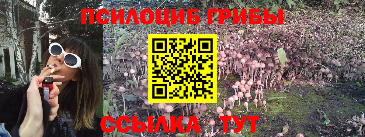 Галлюциногенные грибы мухоморы  Вход с VPN  Галлюциногенные грибы Magic Shrooms  Кизилюрт 