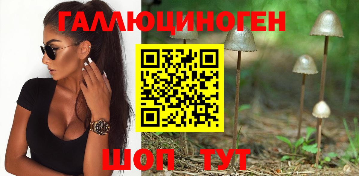 Псилоцибиновые грибы мухоморы Кизилюрт