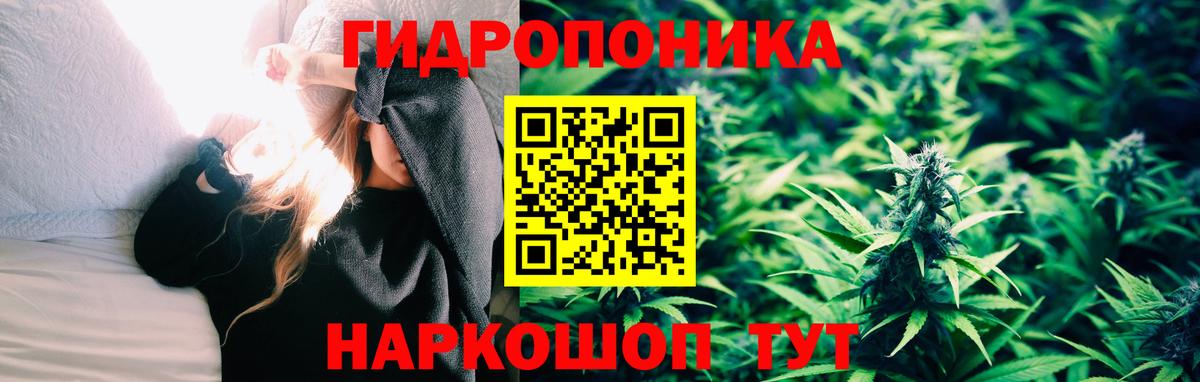 Шишки марихуана VHQ Кизилюрт